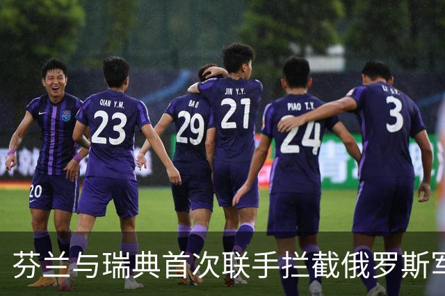 芬兰与瑞典首次联手拦截俄罗斯军机