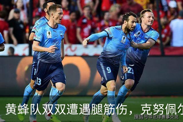 黄蜂队双双遭遇腿筋伤，克努佩尔与威廉姆斯缺席季前赛